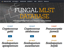 Tablet Screenshot of mlst.mycologylab.org